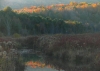 Filename=Autum_Swamp_3.JPG
Filesize=175KB
Dimensions=1024x734
Date added=Jan 19, 2012 Autum_Swamp_3.JPG