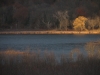 Filename=In_the_Spotlight_1.JPG
Filesize=183KB
Dimensions=1024x768
Date added=Jan 19, 2012 In_the_Spotlight_1.JPG