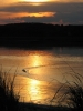 Filename=Incoming_Tide_2_1.jpg
Filesize=101KB
Dimensions=579x768
Date added=Jan 24, 2012 Incoming_Tide_2_1.jpg