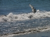 Filename=Quick_Turn.JPG
Filesize=265KB
Dimensions=1024x768
Date added=Jan 24, 2012 Quick_Turn.JPG